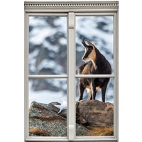 queence Wandsticker "Steinbock" Wandsticker, Wandbild, selbstklebend, 3D, Fenster queence Wandsticker "Steinbock" Wandsticker, Wandbild, selbstklebend, 3D, Fenster von Queence