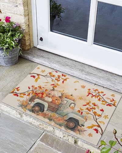 Fußmatte für den Innenbereich, 61 x 91,4 cm, Küchenteppich, rutschfeste Matte mit TPR-Rückseite, weich, saugfähig, Bodenteppich für Badezimmer, Schlafzimmer, Eingangsbereich, Dekoration Fußmatte für den Innenbereich, 61 x 91,4 cm, Küchenteppich, rutschfeste Matte mit TPR-Rückseite, weich, saugfähig, Bodenteppich für Badezimmer, Schlafzimmer, Eingangsbereich, Dekoration von Queener Home