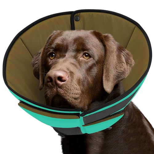 Queenmore Halskrause Hund, Weicher atmungsaktiver, Genesungshalsband nach Operationen,Verstellbarer elisabethanischer Schutzkragen, Leckschutz gegen Belecken und Beißen, für Hunde & Katzen (L, Grün) Queenmore Halskrause Hund, Weicher atmungsaktiver, Genesungshalsband nach Operationen,Verstellbarer elisabethanischer Schutzkragen, Leckschutz gegen Belecken und Beißen, für Hunde & Katzen (L, Grün) von Queenmore
