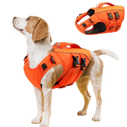 Queenmore Hunde Schwimmweste, Schwimmweste Hund Mittel, Verstellbar Hundeschwimmweste,Rettungsweste Mit Griff, Dackel Schwimmweste Französische Bulldogge,Bootfahren Surfen kajak, Grün, M Queenmore Hunde Schwimmweste, Schwimmweste Hund Mittel, Verstellbar Hundeschwimmweste,Rettungsweste Mit Griff, Dackel Schwimmweste Französische Bulldogge,Bootfahren Surfen kajak, Grün, M von Queenmore