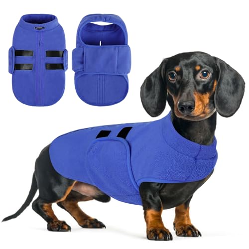 Queenmore Hundemantel Winter Fleece Warm Wintermantel Hund, Hundejacke Hundeweste Kleine Hunde, Hundepullover Dackel, Chihuahua, Bulldog, Greyhound, Blau, L Queenmore Hundemantel Winter Fleece Warm Wintermantel Hund, Hundejacke Hundeweste Kleine Hunde, Hundepullover Dackel, Chihuahua, Bulldog, Greyhound, Blau, L von Queenmore