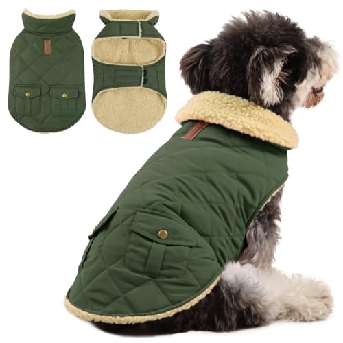 Queenmore Hundemantel Winter Große Hunde Warme Wintermantel Hund Fleece Hundejacke Wasserdicht Quilten Hundebekleidung Hundepullover Für Greyhound Dackel Bulldogge Beagle Labrador, Grün, L Queenmore Hundemantel Winter Große Hunde Warme Wintermantel Hund Fleece Hundejacke Wasserdicht Quilten Hundebekleidung Hundepullover Für Greyhound Dackel Bulldogge Beagle Labrador, Grün, L von Queenmore