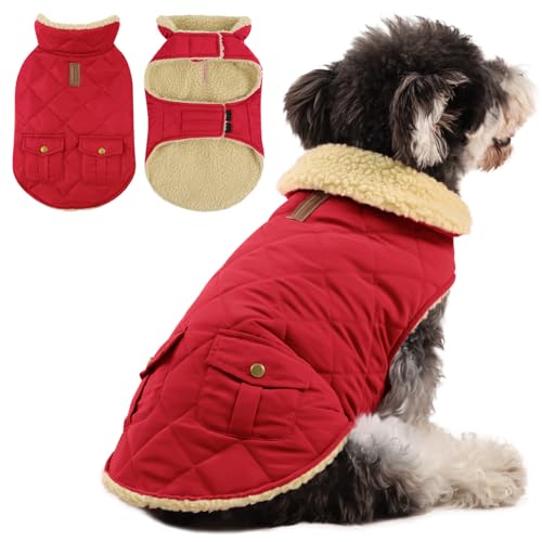 Queenmore Hundemantel Winter Mittelgroße Hunde Warme Wintermantel Hund Fleece Hundejacke Wasserdicht Quilten Hundebekleidung Hundepullover Für Greyhound Dackel Bulldogge Beagle Pitbull, Rot, M Queenmore Hundemantel Winter Mittelgroße Hunde Warme Wintermantel Hund Fleece Hundejacke Wasserdicht Quilten Hundebekleidung Hundepullover Für Greyhound Dackel Bulldogge Beagle Pitbull, Rot, M von Queenmore