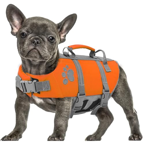 Queenmore Hundeschwimmweste Große Hunde, Ripstop Schwimmweste Hund, Verstellbare Hunde Schwimmwest Mit Griff, Reflektierende Schwimmweste Französische Bulldogge, Kajak Bootfahren, Orange, L Queenmore Hundeschwimmweste Große Hunde, Ripstop Schwimmweste Hund, Verstellbare Hunde Schwimmwest Mit Griff, Reflektierende Schwimmweste Französische Bulldogge, Kajak Bootfahren, Orange, L von Queenmore