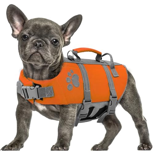 Queenmore Schwimmweste Hund XL, Reflektierende Hundeschwimmweste, Ripstop Rettungsweste Große, Verstellbar Schwimmweste Labrador Mit Rettungsgriff, Life Jacket Schwimmweste Kajak Surfen, Orange, XL Queenmore Schwimmweste Hund XL, Reflektierende Hundeschwimmweste, Ripstop Rettungsweste Große, Verstellbar Schwimmweste Labrador Mit Rettungsgriff, Life Jacket Schwimmweste Kajak Surfen, Orange, XL von Queenmore