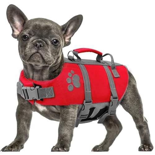 Queenmore Schwimmweste Hund XL, Reflektierende Hundeschwimmweste, Ripstop Rettungsweste Große, Verstellbar Schwimmweste Labrador Mit Rettungsgriff, Life Jacket Schwimmweste Kajak Surfen, Rot, XL Queenmore Schwimmweste Hund XL, Reflektierende Hundeschwimmweste, Ripstop Rettungsweste Große, Verstellbar Schwimmweste Labrador Mit Rettungsgriff, Life Jacket Schwimmweste Kajak Surfen, Rot, XL von Queenmore