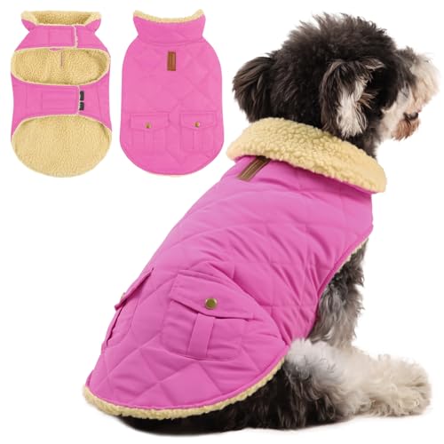 Queenmore Wintermantel Hund Warme Wasserdicht Hundemantel Für Kleine Hunde Fleece Hundejacke Winter Hundepullover Für Dackel Chihuahua Pudel Malteser, Rosa, XS von Queenmore