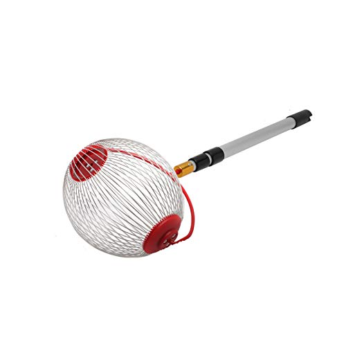 Queiting Obstsammler mit Verstellbarer Teleskopstange Rollsammler Nut Collector Nusssammler Früchtesammler Kugelpflücker für Golfbälle Tennisbälle von Queiting