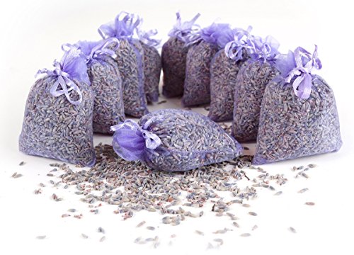 Quertee 5 x Lavendelsäckchen mit französischen Lavendel - Insgesamt 50 g Lavendelblüten - Mottenschutz und Duft im Kleiderschrank von Quertee