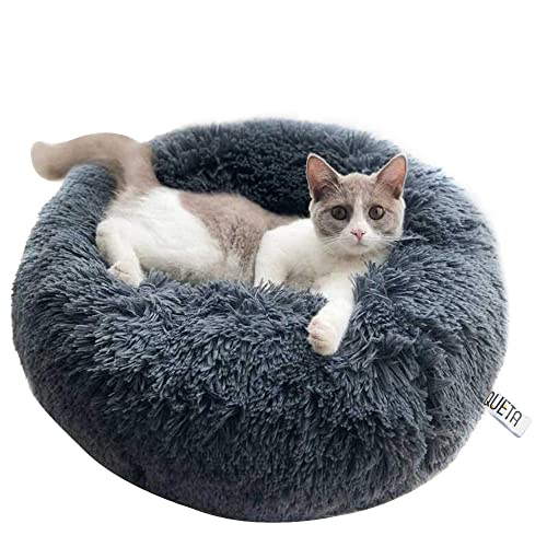 Queta Katzenbett Schöne Tierbett, Klein Hund Bett Haustierbett Plüsch Weich Runden Katze Schlafen Bett (60cm, Grau) von Queta