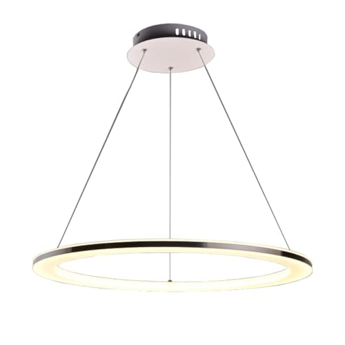 LED Pendelleuchte Esstisch Esszimmer Lampen Ring Hängelampe Dimmbar Mit Fernbedienung Wohnzimmer Hängend Leuchte Modern Silber Edelstahl Höhenverstellbar Für Schlafzimmer Deko Deckenlampe,Φ50cm von Quevia-Eletro