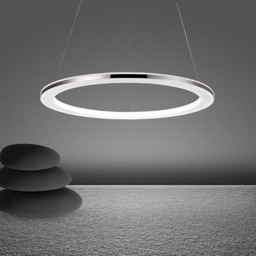 Quevia-Eletro LED Pendelleuchte Kronleuchter Ring Wohnzimmer Esstischlampe Dimmbar Fernbedienung Moderne Hängeleuchte Deckenleuchte Schlafzimmer Pendellampe Silber Edelstahl Höhenverstehbar,12W,Φ30cm von Quevia-Eletro