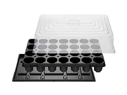 Anzuchtset vom Profi | 2 Sets: Anzuchtplatte je 28 Töpfe, Untersetzer, Haube 12mm | Made in Germany | sehr stabil, lichtbeständig von Mcties