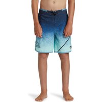 Quiksilver Boardshorts "EVERYDAY NEW WAVE YTH 17" von Quiksilver