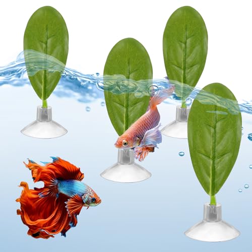 Betta-Blatt-Hängematte, Fischpflanzen-Blatt-Pad, Aquarium-Dekoration, Blätter, Betta-Fische, Aquarium-Zubehör für Aquarium-Aquarium, Laichgründe, 4 Stück von Quilax