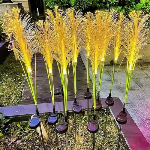 Quintrost Solarleuchten Blume für Garten Außen, 2 Stück LED Schilfrohr Blume Solarlampe, IP65 Wasserdicht Gartenleuchten, Deko für Garten, Zäune, Hochzeit, Party Dekoration Beleuchtung, Warmweiß von Quintrost