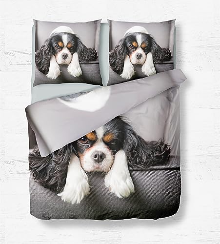 Quixora Bettwäsche 135x200 cm 2er Set Weiche Pflegeleicht Mikrofaser Bettbezug und 2 Kissenbezug 80x80cm mit Reißverschluss - Cavalier King Charles Spaniel-Muster von Quixora