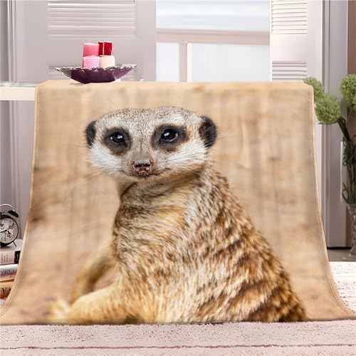 Kuscheldecke Tierdruck ErdmäNnchen Flauschig Fleecedecke als Sofadecke Couchdecke Wohndecke Weiche & Warme Sofaüberwurf Decke 130 x 150 cm von Quixora
