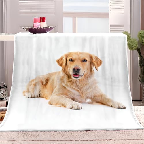 Quixora Kuscheldecke Tiere Golden Retriever Flauschig Fleecedecke als Sofadecke Couchdecke Wohndecke Weiche & Warme Sofaüberwurf Decke 130 x 150 cm von Quixora