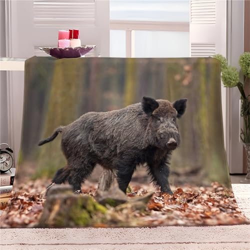 Quixora Kuscheldecken 150x200 cm, Decke für Schlafzimmer 3D-Digitaldruck Tier Wildschwein Wald Kuscheldecke, Flanelldecke, Weich Wohndecke, Sofadecke Decke Für Kinder Jungen Erwachsene von Quixora