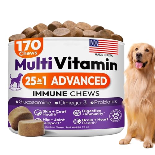 Qukoielly Hund Hüftgelenk Pflege | Hüfte & Gelenk Kautabletten Nahrungsergänzung - Mobilitätsunterstützung Kausnacks Tierknochen Gesundheitspflege für Tierliebhaber Haustierbesitzer von Qukoielly