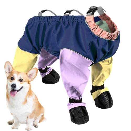 Qukoielly Hundehose, Einstellbare Hund Hosenträger Stiefel, Bequemer Schutz Stiefel Schuhe Für Reise Winter Wanderung Spaziergang Ausflug Qukoielly Hundehose, Einstellbare Hund Hosenträger Stiefel, Bequemer Schutz Stiefel Schuhe Für Reise Winter Wanderung Spaziergang Ausflug von Qukoielly