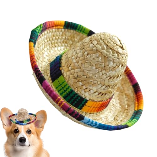 Qukoielly Mini Sombrero,Kleine Gewebte Sombrero Hüte | Weitkrempige Kostümdekoration Für Haustiere Kinder Und Hunde Tiere Qukoielly Mini Sombrero,Kleine Gewebte Sombrero Hüte | Weitkrempige Kostümdekoration Für Haustiere Kinder Und Hunde Tiere von Qukoielly