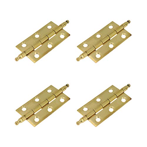 Quluxe 5,1 cm Türscharniere, quadratisches Scharnier, Antik-Messing-Scharniere für Schranktüren, Kommoden, Schubladen, Schrank mit Schrauben, Gold (4 Stück) von Quluxe