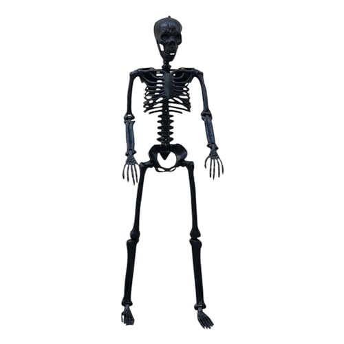 Qumiuu Skelette Für Halloween - Realistisches Skelettmodell Mit Beweglichen Gelenken,Unheimliche Szenen Partyzubehör Für Rasen Garten Hof Dekoration Geisterhaus Balkone Terrassen von Qumiuu
