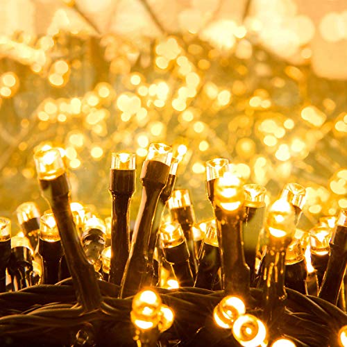 Quntis 1000 LED 25m Lichterkette Außen Warmweiß, IP44 Weihnachtsbeleuchtung Außen, 8 Modi Strombetriebene Lichterkette Innen, Weihnachtsdeko für Weihnachtsbaum Garten Büsche Balkon Terrasse Zimmer von Quntis