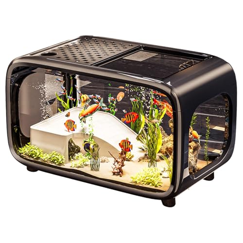 Quorvex Aquarium-Tank – Desktop-Fischschale für Schildkröten – durchsichtiges Acryl, Wassertier-Behälter, Schüssel für Schnecken, Wasserpflanzen, Landschaft, Schildkröte, Betta- Quorvex Aquarium-Tank – Desktop-Fischschale für Schildkröten – durchsichtiges Acryl, Wassertier-Behälter, Schüssel für Schnecken, Wasserpflanzen, Landschaft, Schildkröte, Betta- von Quorvex