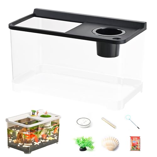 Quorvex Betta Aquarium 3 Farbbeleuchtung | Hochtransparenter Tank,Hydroponisches Tischaquarium Für Tischlandschaft Home Arbeitsplatz Eingangsbereich Schlafzimmer von Quorvex