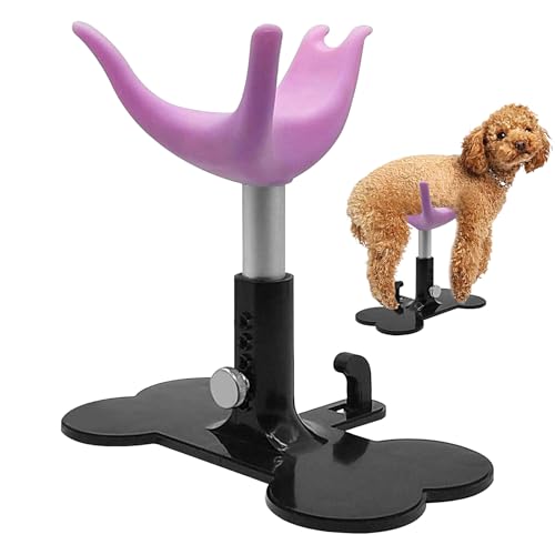 Quorvex Haustier Pflegestuhl | Stehhilfe Zum Baden,Leiter Und Ständer Zur Fellpflege Waschen Schneiden Für Hunde Und Kleintiere von Quorvex