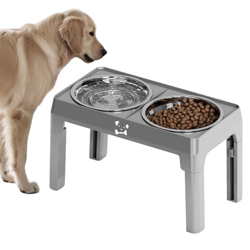 Quorvex Hundefutter- Und Wassernapf Set,rutschfeste Futter- Und Wassernäpfe Für Hunde | rutschfeste Futterstelle Mit 5 Höhen Für Welpen Katzen Große Mittlere Kleine Rassen Quorvex Hundefutter- Und Wassernapf Set,rutschfeste Futter- Und Wassernäpfe Für Hunde | rutschfeste Futterstelle Mit 5 Höhen Für Welpen Katzen Große Mittlere Kleine Rassen von Quorvex