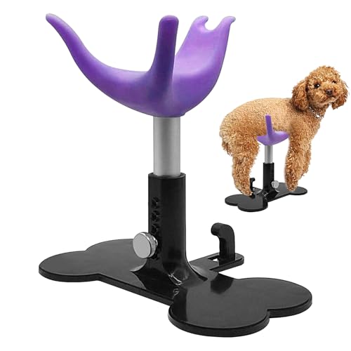 Quorvex Hundepflegestuhl,Stehhilfe Zum Baden - Leiter Und Ständer Zur Fellpflege Waschen Schneiden Für Hunde Und Kleintiere von Quorvex