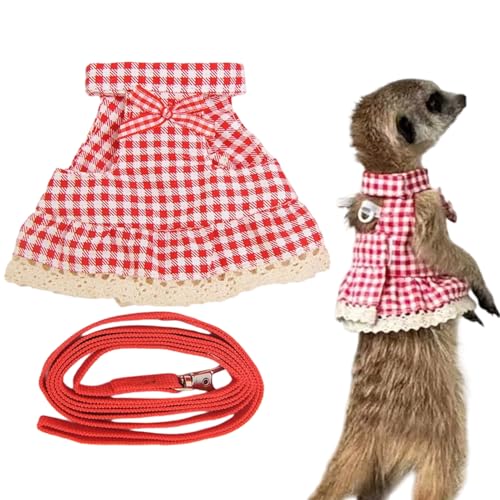 Quorvex Kaninchen Geschirr, Geschirr Zum Für Kleintiere, Weiches Kleintierkleid Mit Führleine Zum Training Für Draußen Camping Garten Spaziergehen von Quorvex
