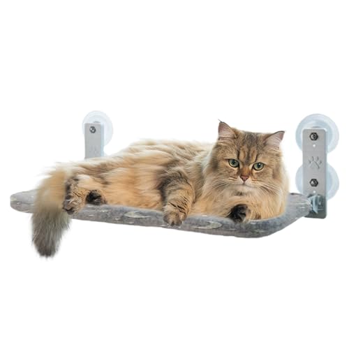 Quorvex Katzen- -Hängematte – Faltbare Katzenhängematte – leuchtet im Dunkeln mit Saugnäpfen, Sitz mit interaktivem Spielzeug für Vögel, Beobachtung Räume, gemütliches Nickerchen Quorvex Katzen- -Hängematte – Faltbare Katzenhängematte – leuchtet im Dunkeln mit Saugnäpfen, Sitz mit interaktivem Spielzeug für Vögel, Beobachtung Räume, gemütliches Nickerchen von Quorvex