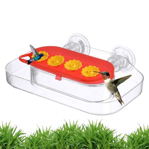 Quorvex Kolibri-Futterspender - Saugnapf -Futterspender für Draußen - Montiertes Vogelhaus Mit 4 Portionen Aufhänger Für Garten Terrasse Balkon Vogelbeobachtung Quorvex Kolibri-Futterspender - Saugnapf -Futterspender für Draußen - Montiertes Vogelhaus Mit 4 Portionen Aufhänger Für Garten Terrasse Balkon Vogelbeobachtung von Quorvex