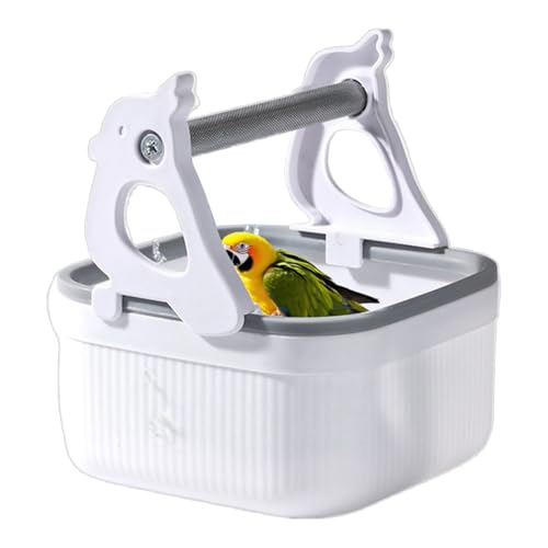 Quorvex Vogel Sitzstange Ständer | Trainingsstand Mit Toiletteneimer,Nagestange, Robuste Vogelspielzeuge Für GrauNymphensittiche Sittiche Spatzen Wellensittiche Quorvex Vogel Sitzstange Ständer | Trainingsstand Mit Toiletteneimer,Nagestange, Robuste Vogelspielzeuge Für GrauNymphensittiche Sittiche Spatzen Wellensittiche von Quorvex