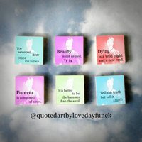 6Er Set Emily Dickinson Holzkunst Magnet Geschenkset 6Er Set Emily Dickinson Holzkunst Magnet Geschenkset von QuotedArt