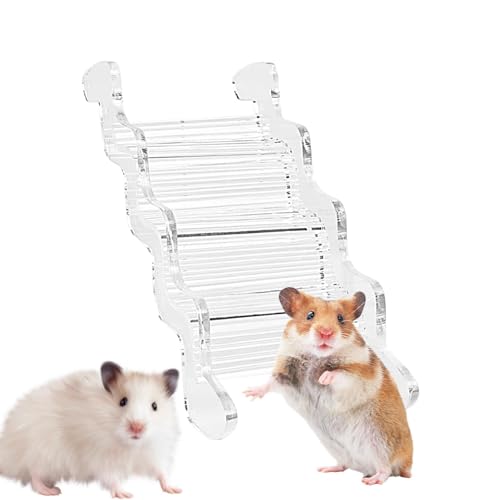 Qurygin Hamstertreppe, Hamsterleiter - Acrylklarer Hamsterspielplatz - Pet Habitat Fun Käfigzubehör, Maus-Hamster-Möbel, Hamsterhaus von Qurygin