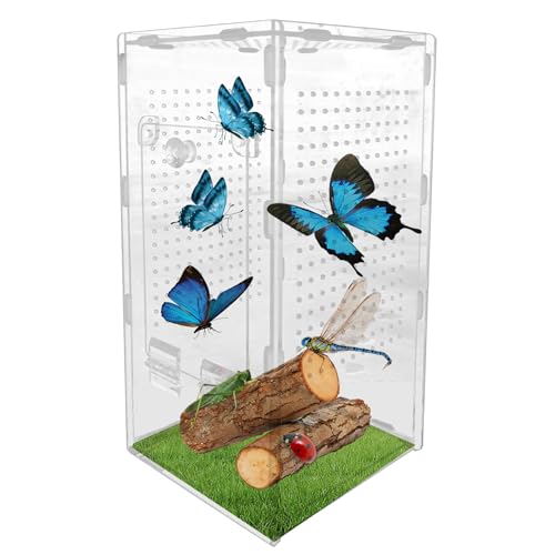 Qurygin Springende Spinne Terrarium | Acrylgehege Springspinne Haus – Lebensraum Käfig Haustierzubehör für Einsiedlerkrebse Gecko Wissenschaft Projekt Tarantel von Qurygin
