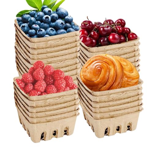 Qutalmi Beerenkorb aus natürlicher Zellstofffaser, Korbbehälter herstellen - Belüftete Pint-Obstbehälter aus natürlichem Zellstoff - 30 Stück große Aufbewahrungsbehälter für Erdbeeren, Kirschen, von Qutalmi