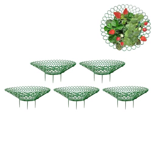 Qutalmi Erdbeer Pflanzenstütze, 5/10 Stück Erdbeerstützen Pflanzenstütze Ständer, Wiederverwendbarer Erdbeerstützen Ständer, Erdbeeren Vor Staub Und Schnecken Schützen, Vor Fäulnis Erdbeer Reifer Qutalmi Erdbeer Pflanzenstütze, 5/10 Stück Erdbeerstützen Pflanzenstütze Ständer, Wiederverwendbarer Erdbeerstützen Ständer, Erdbeeren Vor Staub Und Schnecken Schützen, Vor Fäulnis Erdbeer Reifer von Qutalmi
