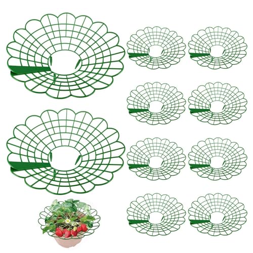Qutalmi Erdbeerstützen Ständer, 10 Stück Erdbeergitter, Erdbeerreifer Balkon Erdbeernetze, Erdbeeren vor Staub und Schnecken schützen, vor Fäulnis & Schimmel, Sicherheitsabstand zum Boden Qutalmi Erdbeerstützen Ständer, 10 Stück Erdbeergitter, Erdbeerreifer Balkon Erdbeernetze, Erdbeeren vor Staub und Schnecken schützen, vor Fäulnis & Schimmel, Sicherheitsabstand zum Boden von Qutalmi