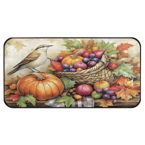 Quteprint Rutschfeste, super saugfähige Boden-Fußmatte, festliche Herbstkürbisse, Obst, Vogel Läufer, Teppich für Eingangsbereich, Flur, Küche – Innen- und Außenbereich, leicht zu reinigen von Quteprint