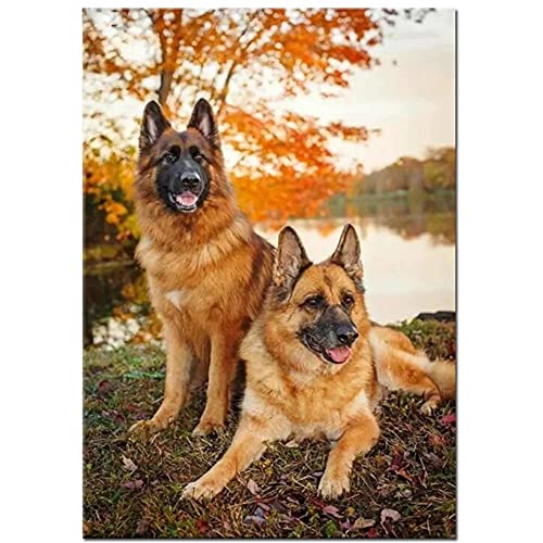 5D DIY Diamond Painting Set Deutscher Schäferhund Diamant Painting Nach Zahlen Kits Diamant Painting Bilder Diamant Malerei Crystal Strass Mosaikherstellung für Erwachsene Anfänger Wand-Dekor 50x65cm von Quuzee