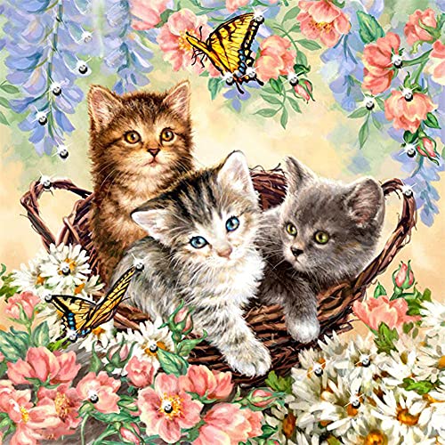 5D DIY Diamond Painting Set Katze Und Blumen 30x30cm Diamant Painting Nach Zahlen Kits Diamant Painting Bilder Diamant Malerei Crystal Strass Mosaikherstellung für Erwachsene Anfänger Wand-Dekor von Quuzee