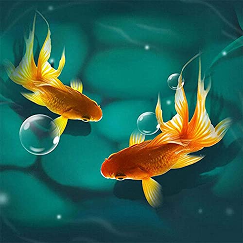 Quuzee 5D Large Diamant Painting Bilder Goldfisch 25x25cm DIY Groß Diamond Painting Crystal Strass Diamant Malerei Kreuzstich Leinwand Mosaik Stickerei Arts Craft für Home Wand Dekor Gift (10x10in) von Quuzee