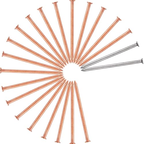 Quystetes 20 Stück Kupfernägel zum Entfernen Von Baumstümpfen und Wurzeln, 8,9 cm Lange Nagelspikes, Stumpfentfernungsspikes mit 2 Stück Stahlnägeln Quystetes 20 Stück Kupfernägel zum Entfernen Von Baumstümpfen und Wurzeln, 8,9 cm Lange Nagelspikes, Stumpfentfernungsspikes mit 2 Stück Stahlnägeln von Quystetes